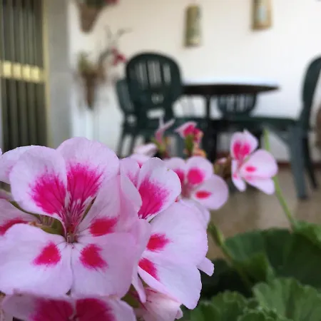 Bed & Breakfast Gli Allori Custonaci